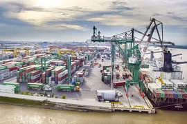 Vietnam-Américas: amplias perspectivas de cooperación comercial