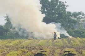Promueven soluciones para la gestión de la calidad del aire en Hanoi 