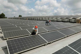 EE.UU. no realizará investigación antidumping contra batería solar de Vietnam