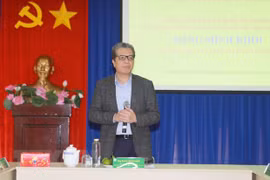Vietnamitas en ultramar contribuyen activamente al país, según oficiales