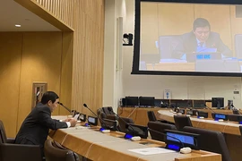Vietnam insta a cumplir plenamente Convención marítima de la ONU