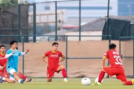 Equipo vietnamita de fútbol jugará mañana con acompañamiento de aficionados nacionales