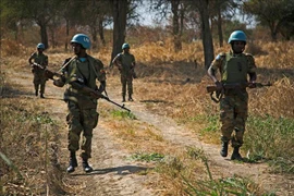 Vietnam pide resolver cuestión de Abyei mediante medios pacíficos