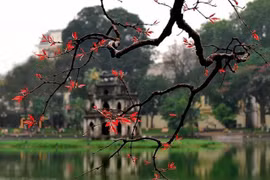 Celebrarán exposición por aniversario del Día de Liberación de Hanoi