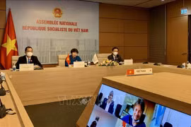 Vietnam asiste a reunión del Comité de Asuntos Parlamentarios de APF 
