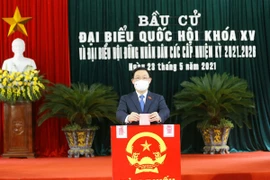 Presidente del Parlamento vietnamita participa en elecciones generales en Hai Phong 