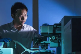 Honran a científico vietnamita en Australia por su labor investigativa