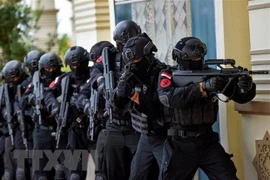 ASEAN y Rusia actualizarán su estrategia de cooperación en la lucha contra el terrorismo