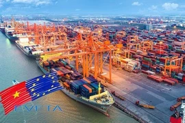 Recomiendan reformas políticas para implementación efectiva del EVFTA