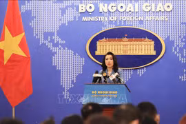 Vietnam protege a extranjeros residentes en el país 