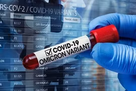 Primer ministro vietnamita urge a garantizar el control de la nueva cepa Ómicron del COVID-19