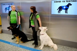 Tailandia entrena perros rastreadores para detectar el COVID-19