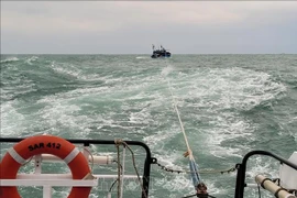 Rescatan en Vietnam a 11 pescadores accidentados en el mar 