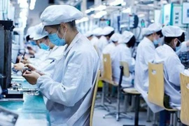 Incentivan inversiones verdes de empresas europeas en Vietnam