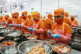Camarón vietnamita ocupa el primer lugar en diversos mercados extranjeros