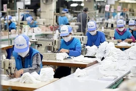 Vietnam apoya reducción de impuestos para empresas y pobladores afectados por el COVID-19