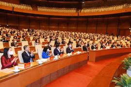 Destacan importancia de labores de las relaciones exteriores para el desarrollo de Vietnam