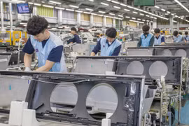 Empresas familiares vietnamitas optimistas sobre crecimiento en 2021 y 2022