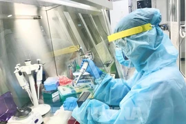 Vietnam reporta siete casos nuevos del COVID-19 en Hai Duong
