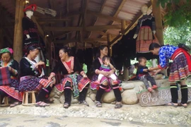 Producirá Vietnam materiales audiovisuales para personas en zonas montañosas y fronterizas