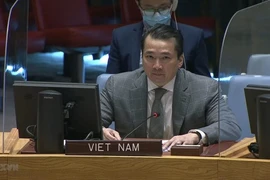 Insta Vietnam a estabilizar situación en la República Democrática del Congo