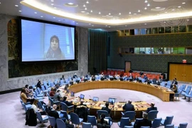Vietnam exhorta a lograr solución política en Siria