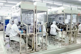 Inversiones vietnamitas en el exterior suman 646 millones de dólares