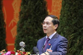 Diplomacia contribuye a desarrollo e integración global de Vietnam