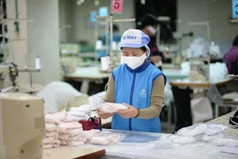 Vietnam exporta más de 15 millones de mascarillas en agosto
