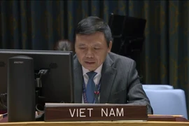 Vietnam reafirma compromiso con el derecho internacional