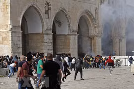 Vietnam enaltece esfuerzos para promover proceso de paz en Oriente Medio