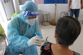 Resaltan importancia de aceptación mutua de pasaportes de vacunación entre Vietnam y otros países 
