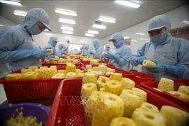 Presentan a empresas vietnamitas guía de exportación al mercado chino