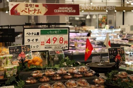 Intensifican cooperación económica entre Vietnam y prefectura japonesa