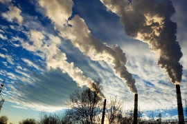 Vietnam contribuye a la integración ambiental regional