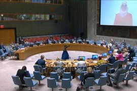 Vietnam insta a garantizar apoyo humanitario a Siria