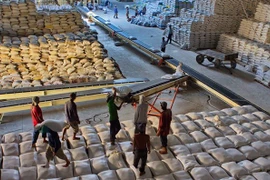 Vietnam exporta 638 mil toneladas de arroz al extranjero en primer bimestre