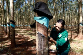 Fuerte incremento en exportaciones de caucho de Vietnam