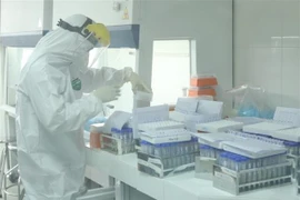 Disminuyen drásticamente casos de COVID-19 en Vietnam