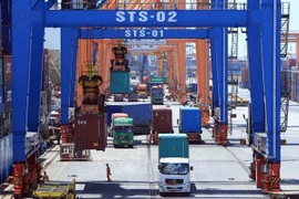 Suministrarán grúas portacontenedores alemanes a empresa vietnamita
