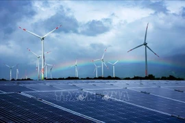 Cámara de Comercio e Industria Bélgica-Vietnam acompaña a Hanoi en crecimiento verde