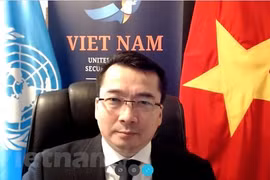 Vietnam preocupado por la compleja situación en Bosnia y Herzegovina