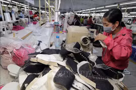 Robustecen Vietnam y Argentina nexos en comercio