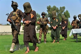 Vietnam respalda investigaciones de ONU sobre crímenes del Estado Islámico en Iraq