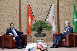 Vietnam aspira a abrir nueva etapa de desarrollo de relaciones con Japón