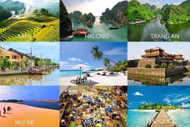 Presentan en Vietnam plataforma digital que conecta empresas turísticas y viajeros