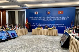 Vietnam copreside sesión del grupo de trabajo de expertos sobre operaciones de paz