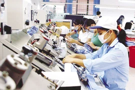 Empresas privadas en Vietnam muestran aumento en cantidad y calidad