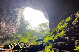 Convocan a concurso de fotografía online sobre parque vietnamita Phong Nha - Ke Bang