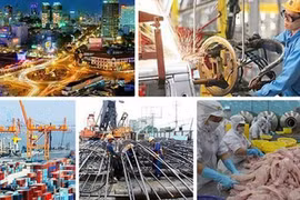 Aprecian oportunidades de inversión y negocios en Vietnam